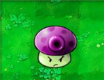 Cogumelo saltitante QQ