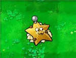Carambola da Terra