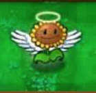 Ángel girasol