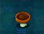 Champignon de petit bassin