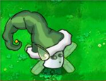 Elf mushroom