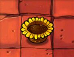 Pot de tournesol